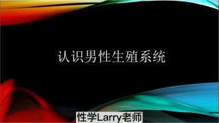 认识男性生殖系统-两性技巧-性爱指南-高潮课堂